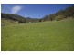 - Wattle Grove Road, Wattle Grove TAS 7109