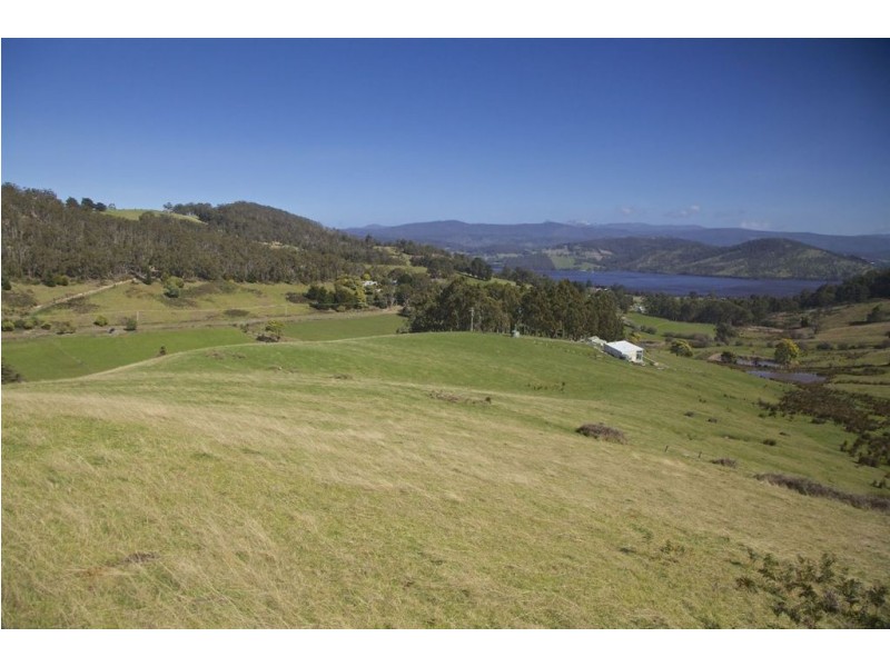 - Wattle Grove Road, Wattle Grove TAS 7109