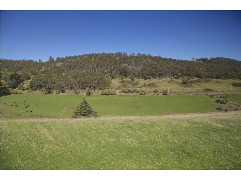 - Wattle Grove Road, Wattle Grove TAS 7109