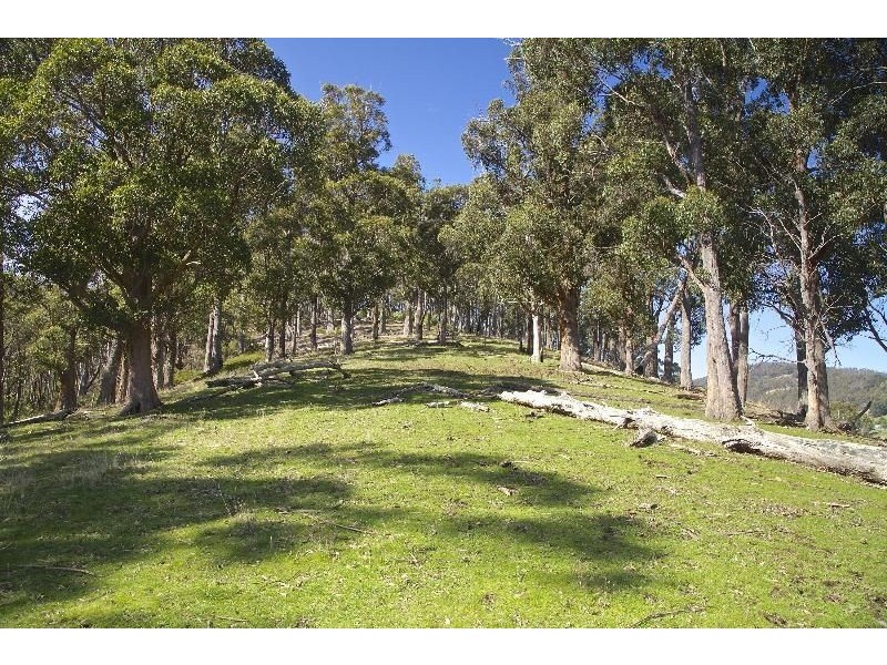 - Wattle Grove Road, Wattle Grove TAS 7109