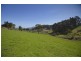 - Wattle Grove Road, Wattle Grove TAS 7109