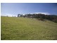 - Wattle Grove Road, Wattle Grove TAS 7109