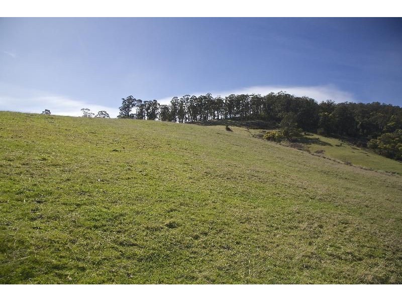 - Wattle Grove Road, Wattle Grove TAS 7109