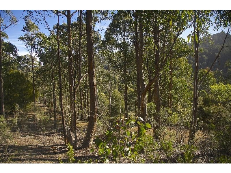 - Judds Creek Road, Judbury TAS 7109