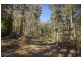 - Judds Creek Road, Judbury TAS 7109