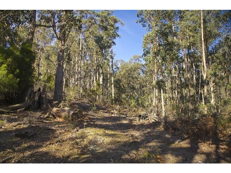 - Judds Creek Road, Judbury TAS 7109