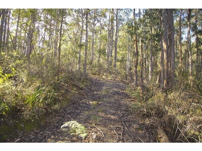 - Judds Creek Road, Judbury TAS 7109