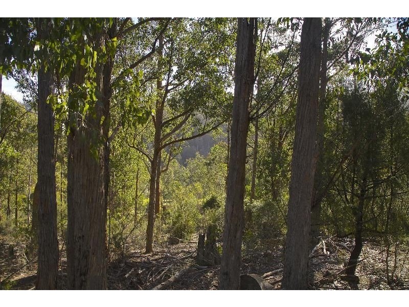 - Judds Creek Road, Judbury TAS 7109