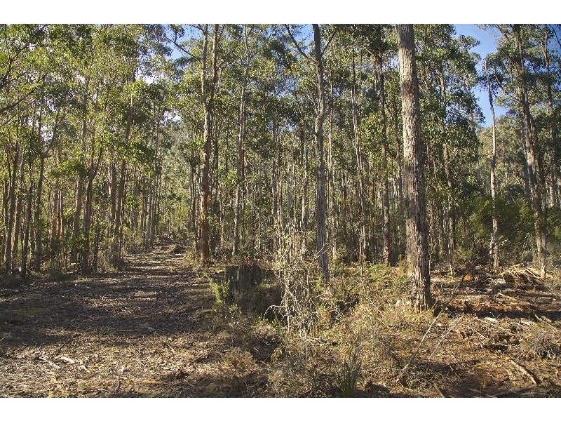 - Judds Creek Road, Judbury TAS 7109
