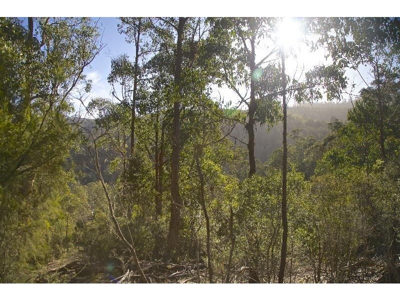 - Judds Creek Road, Judbury TAS 7109
