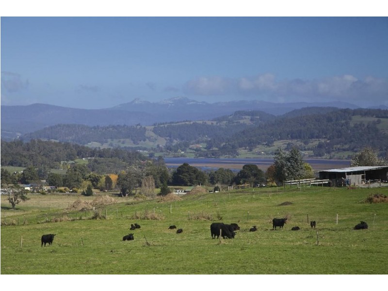 - Cradoc Hill Road, Cradoc TAS 7109