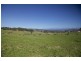 - Cradoc Hill Road, Cradoc TAS 7109