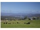 - Cradoc Hill Road, Cradoc TAS 7109