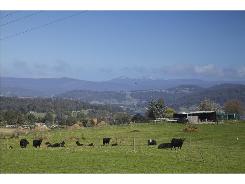 - Cradoc Hill Road, Cradoc TAS 7109