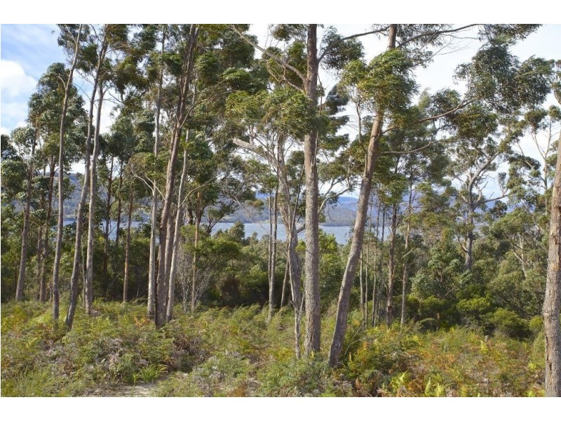 17 Stella Court, Surges Bay TAS 7116