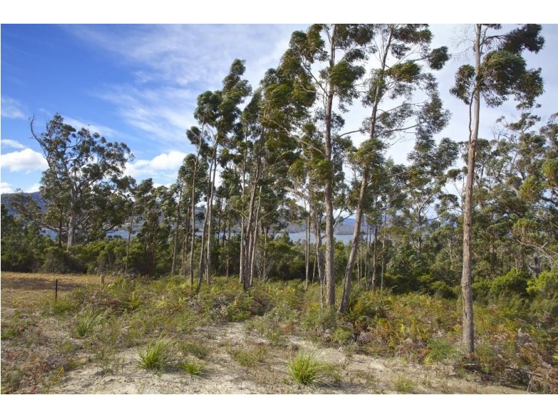 17 Stella Court, Surges Bay TAS 7116