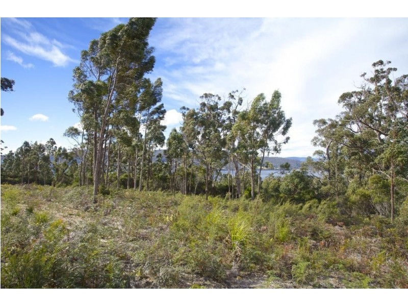 17 Stella Court, Surges Bay TAS 7116