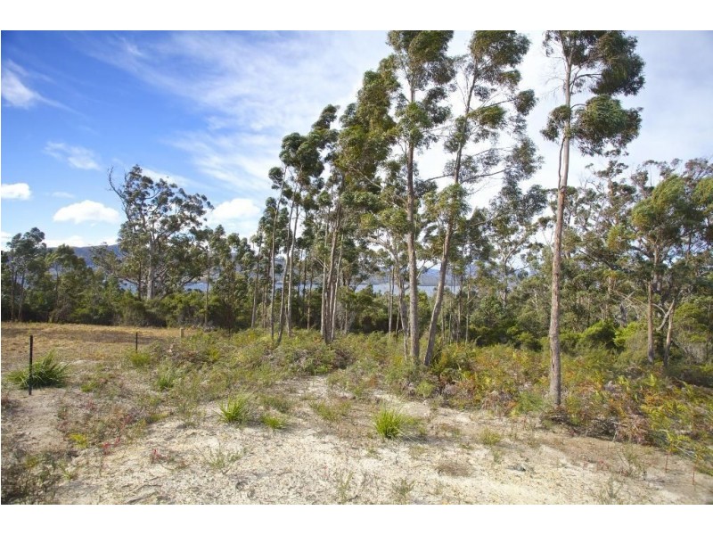 17 Stella Court, Surges Bay TAS 7116