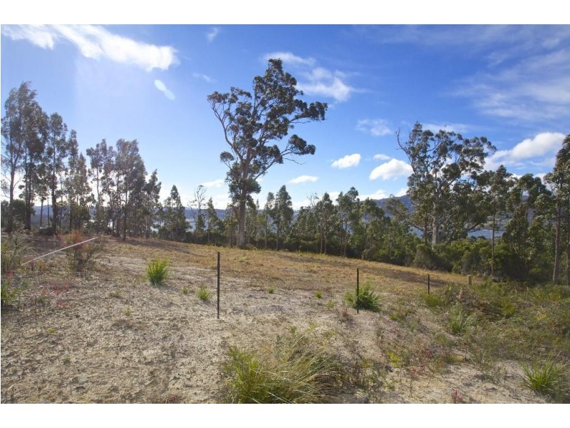 17 Stella Court, Surges Bay TAS 7116