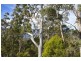 30 Swifts Road, Surges Bay TAS 7116