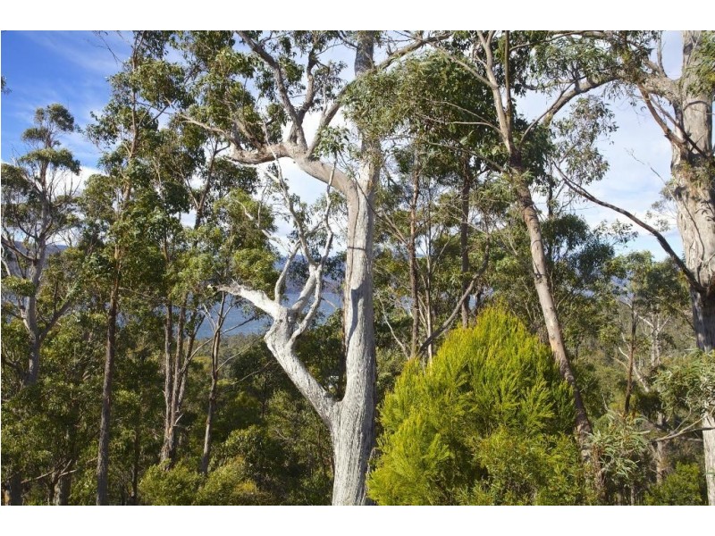 30 Swifts Road, Surges Bay TAS 7116