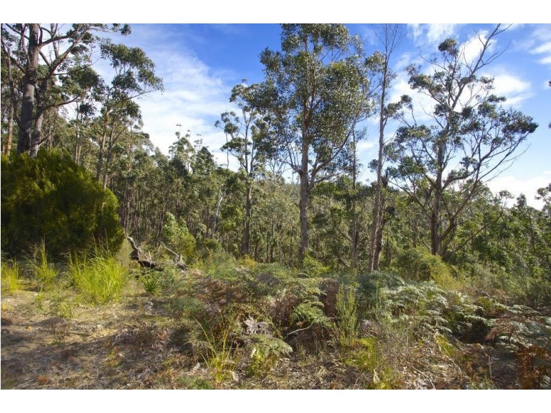 30 Swifts Road, Surges Bay TAS 7116