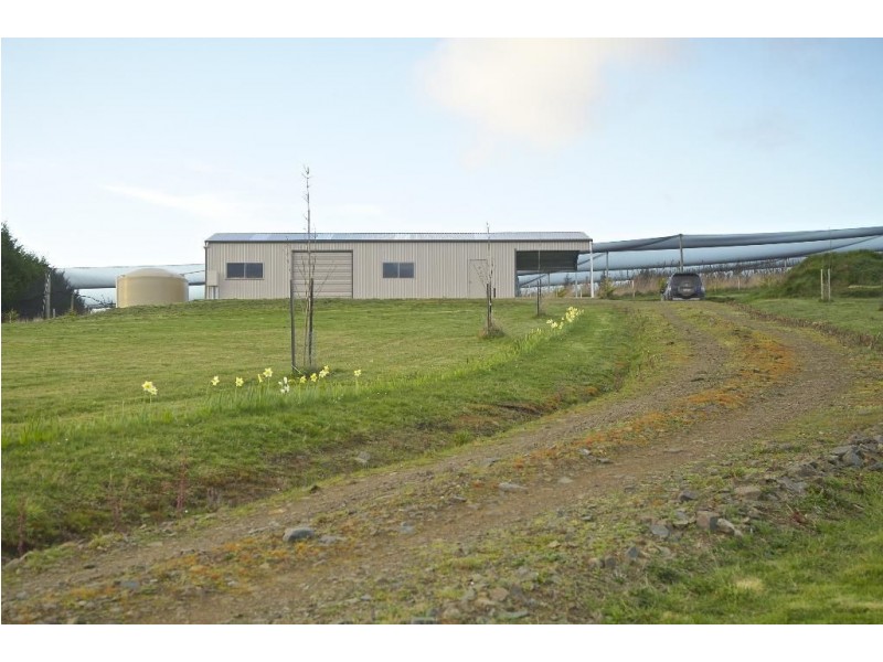 1332 Cygnet Coast Road, Wattle Grove TAS 7109