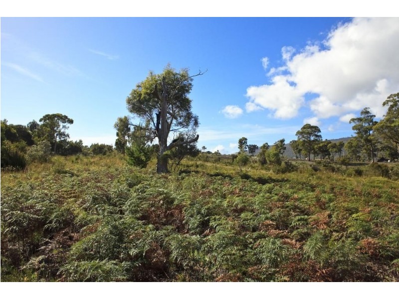 Lot 2 / 69 MacNaghten Road, Dover TAS 7117