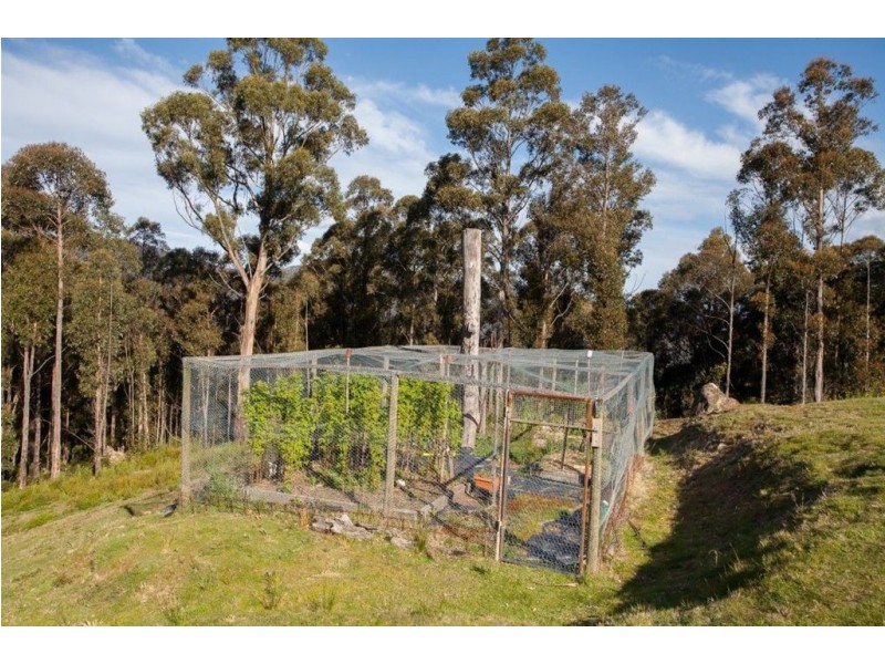 Address Available On Request, Mountain River TAS 7109