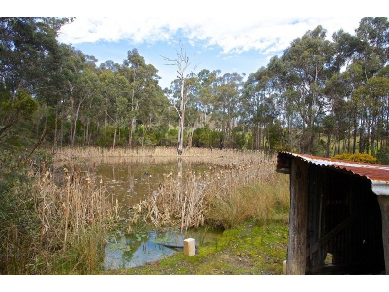 919 Cygnet Coast Road, Wattle Grove TAS 7109