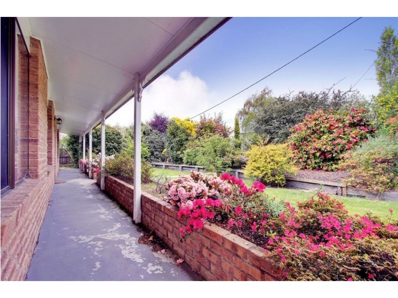 8 Charles Street, Cygnet TAS 7112