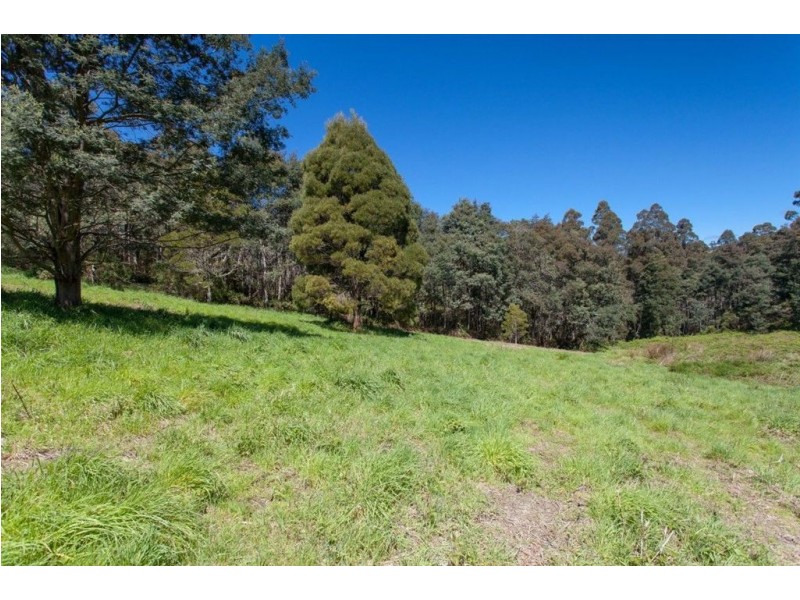 - Jacksons Road, Franklin TAS 7113