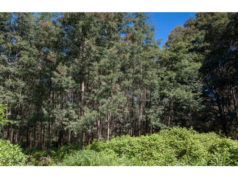 - Jacksons Road, Franklin TAS 7113