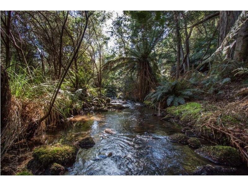 328 Bakers Creek Road, Lucaston TAS 7109