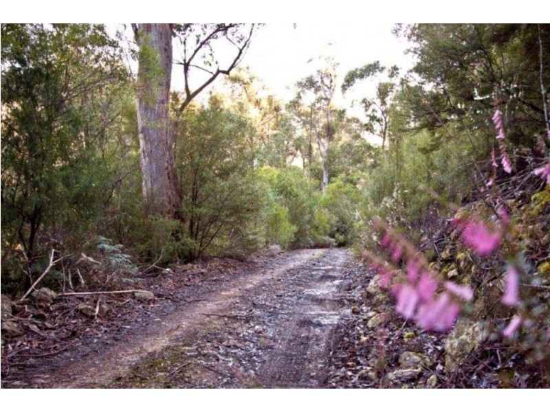 328 Bakers Creek Road, Lucaston TAS 7109