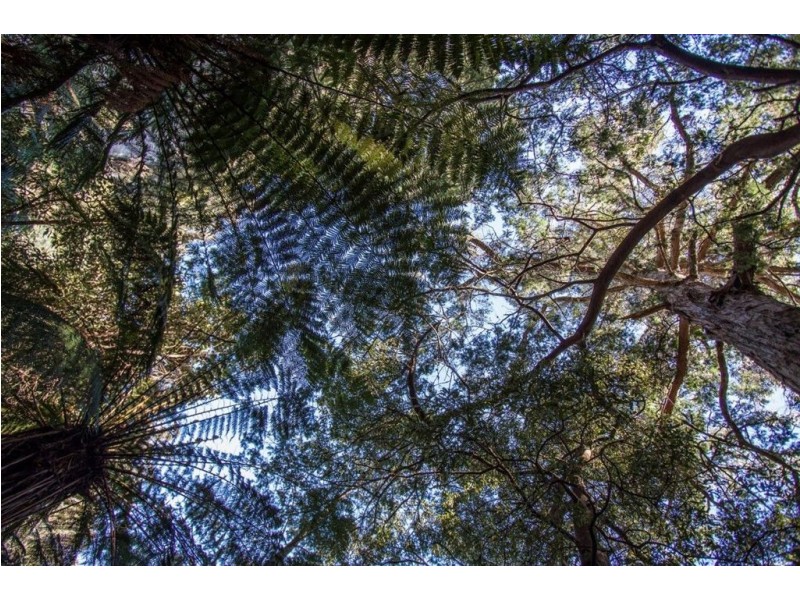 328 Bakers Creek Road, Lucaston TAS 7109