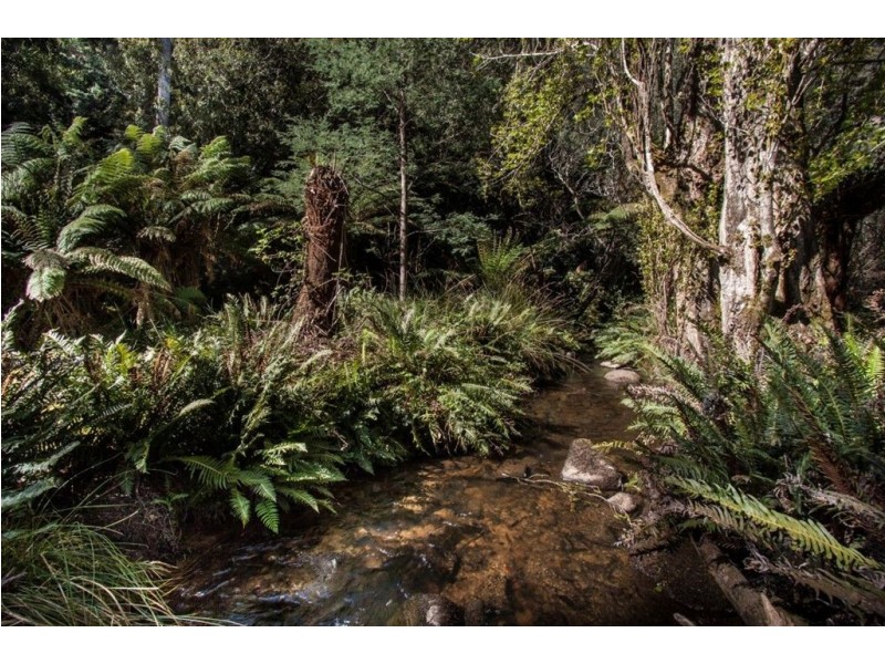 328 Bakers Creek Road, Lucaston TAS 7109