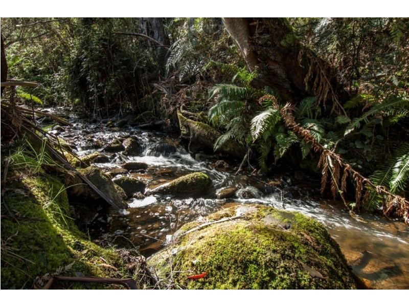 328 Bakers Creek Road, Lucaston TAS 7109