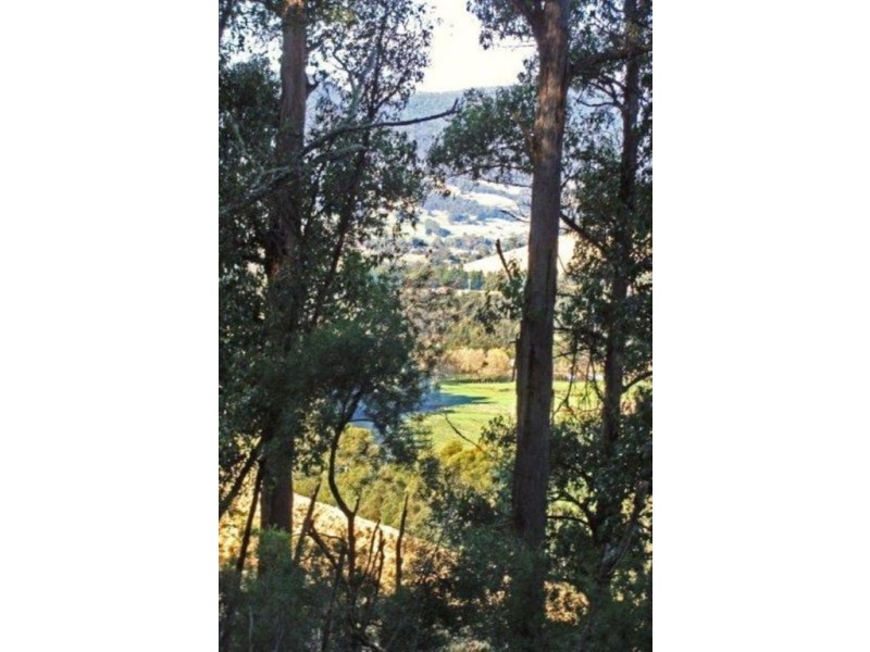 328 Bakers Creek Road, Lucaston TAS 7109