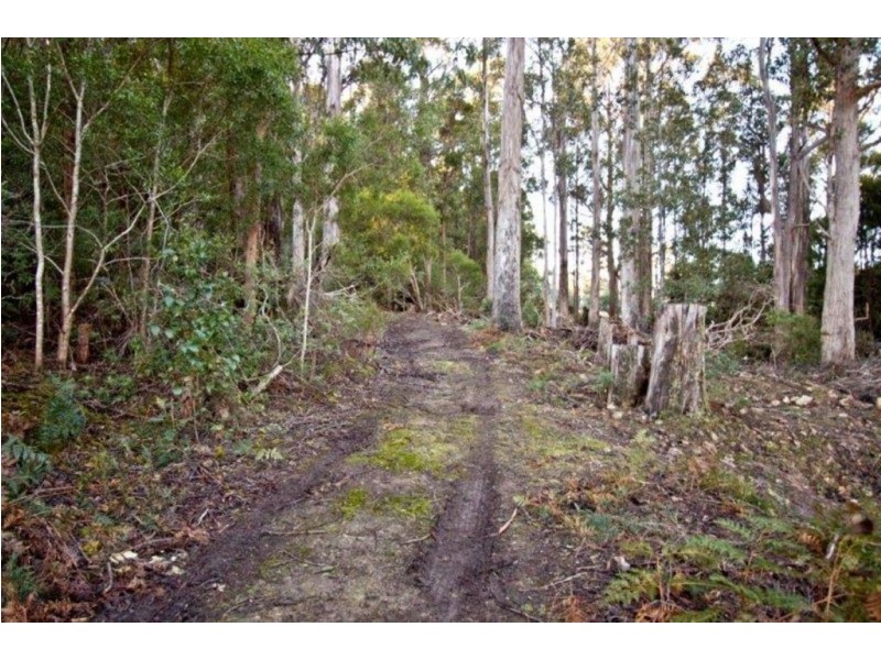 328 Bakers Creek Road, Lucaston TAS 7109