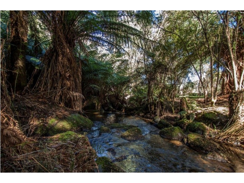 328 Bakers Creek Road, Lucaston TAS 7109