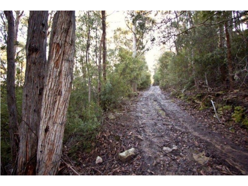 328 Bakers Creek Road, Lucaston TAS 7109