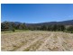 - Glen Huon Road, Glen Huon TAS 7109