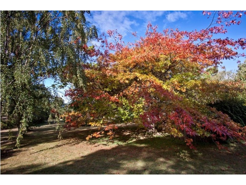 7213 Huon Highway, Dover TAS 7117