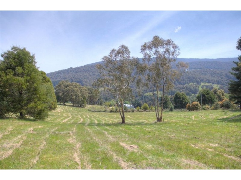 38 Misty Hill Road, Mountain River TAS 7109