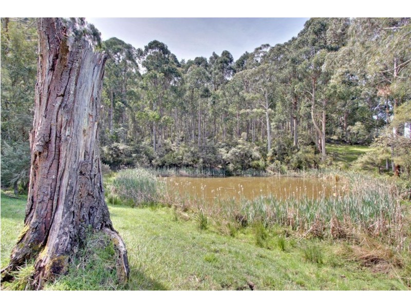 3/10 Sorell Street, Port Huon TAS 7116