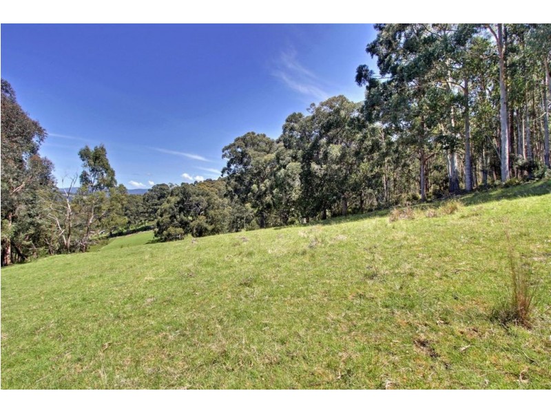 3/10 Sorell Street, Port Huon TAS 7116