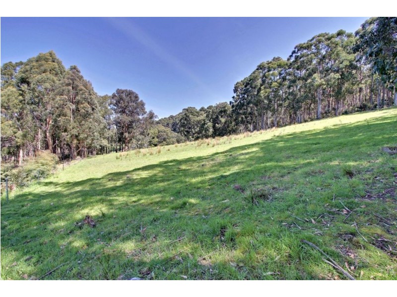 3/10 Sorell Street, Port Huon TAS 7116