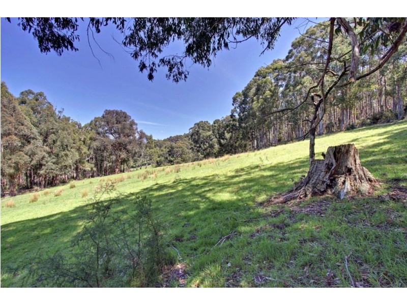 3/10 Sorell Street, Port Huon TAS 7116