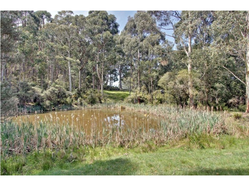 3/10 Sorell Street, Port Huon TAS 7116